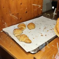  at Schwarzbrot OG in Vienna