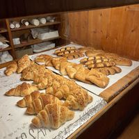   at Schwarzbrot OG in Vienna