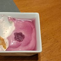  at Copenhagen in Valencia