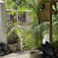   at The Nuga House Cafe in Ahangama