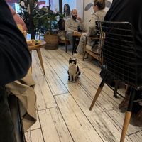   at Dükkan Galata in Istanbul