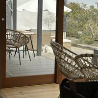 Cats!  at lilla in Awaji