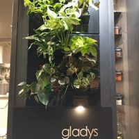 Plants Forever! at Gladys  in Edgewater