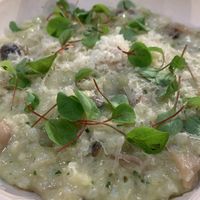   at Gladys  in Edgewater