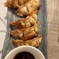 Vegan gyoza's at Mama Bowls in Arnhem