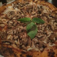 Vegan mushrooms pizza at Casa Sofia in Playa Del Carmen