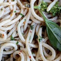   at Casa Sofia in Playa Del Carmen