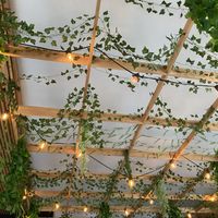   at Bar Vegan in Albany