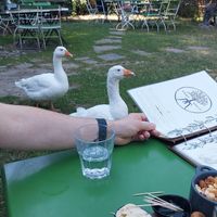  at Boscafé Merlijn Gaststätte in Kranenburg