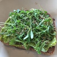 Smashed avocado toast with GF multigrain bread (Avocado, microgreens, spicy agave, everything seasoning)  at Evexia in Aurora