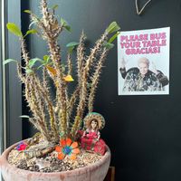  at Mis Tacones in Portland