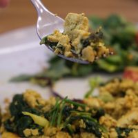 Tofu scramble at Dosa Dosa in Prague