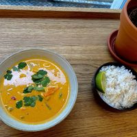 Indian curry with tofu and rice.   at Dosa Dosa in Prague