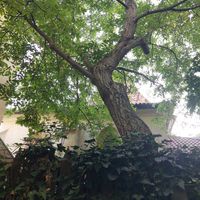  at Dosa Dosa in Prague