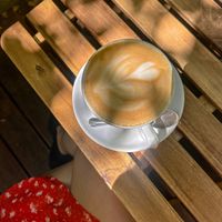   at Dosa Dosa in Prague