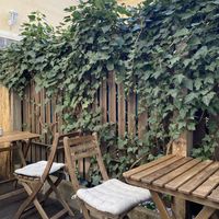   at Dosa Dosa in Prague