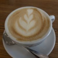   at Dosa Dosa in Prague