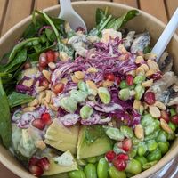  at Buddha Bowls by Elena's in Vienna