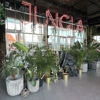 The entrance at JUNGLA in Gdansk
