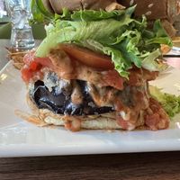 Eggplant Parmigiana sandwich    at Good Life Cafe in Columbia