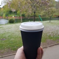 Great Americano at Bella Rose Cafe in Scarborough