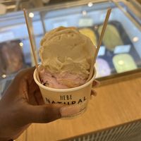 Sea Salted Caramel (Top) Blueberry Lemon (Bottom)  at HEBE Plant Bar - Emquartier in Bangkok