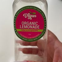 AMAZING! at Vegan On The Fly in New York City