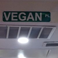 S at Vegan On The Fly in New York City