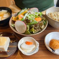 Main meal set with rice, sesame tofu and potato ginger croquettes  at Unkimika in Tokyo