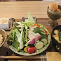 Lunch set with croquets and Goma dofu at Unkimika in Tokyo