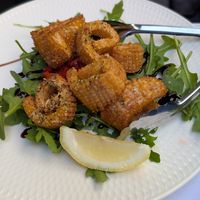 Calamari at Funghi E Tartufo in Melbourne