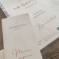 Vegan Menu at LA GAVIOTA in Zihuatanejo