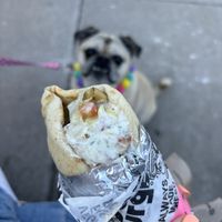 Chicken wrap   at Odd Burger in Hamilton