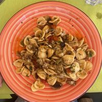 Orecchiette champignons, tomates, câpres et croûtons à l’huile d’olive  at Bio 72 in Bari
