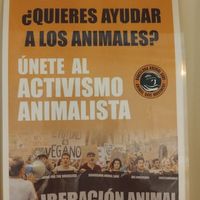  at Areca Bakery in Barcelona