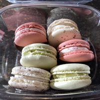 Macarons  at Keepin it Vegan  in Ottawa