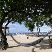 Hammocks to chill! at Underwater Vision in Utila