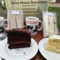 sandwiches and cakes at Hillside Shire Horse Sanctuary Cafe in West Runton