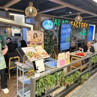   at Salad Factory in Bangkok