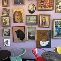 interior!  at Sparky's Homemade Ice Cream in Columbia