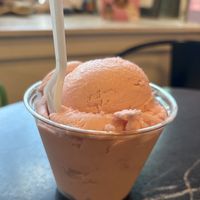 vegan mint bubblegum!  at Sparky's Homemade Ice Cream in Columbia
