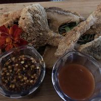 Vegan wings   at Eden in Hot Springs