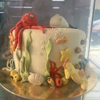   at Little Bear in Pireas