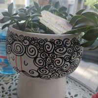  at Little Bear in Pireas