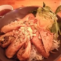 Vegan rice noodles with Tofu and spring rolls at Ngon Vietfood in Essen
