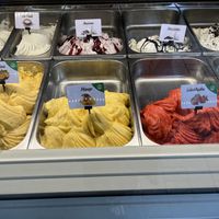 Vegan options clearly labelled  at La Nocciola in Tirana