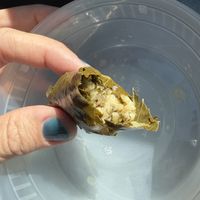 Dolma - dilly and yummy  at Ben & Esther's Vegan Jewish Deli in Portland