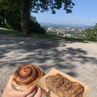 Vegan cinnamon roll and apple cake  at Zrno do Zrna in Ljubljana