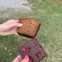 Vegan pumpkin cake and brownie  at Zrno do Zrna in Ljubljana