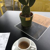 Good coffee  at Cortese Café 900 in Florence